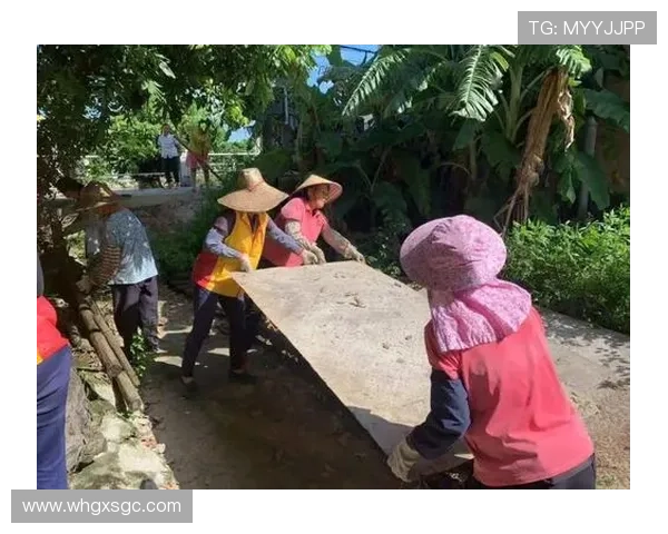 福建省和美乡村气排球大赛圆满收官运动一起赢展现乡村活力风采 福建省和美乡村气排球大赛圆满收官运动一起赢展现乡村活力风采